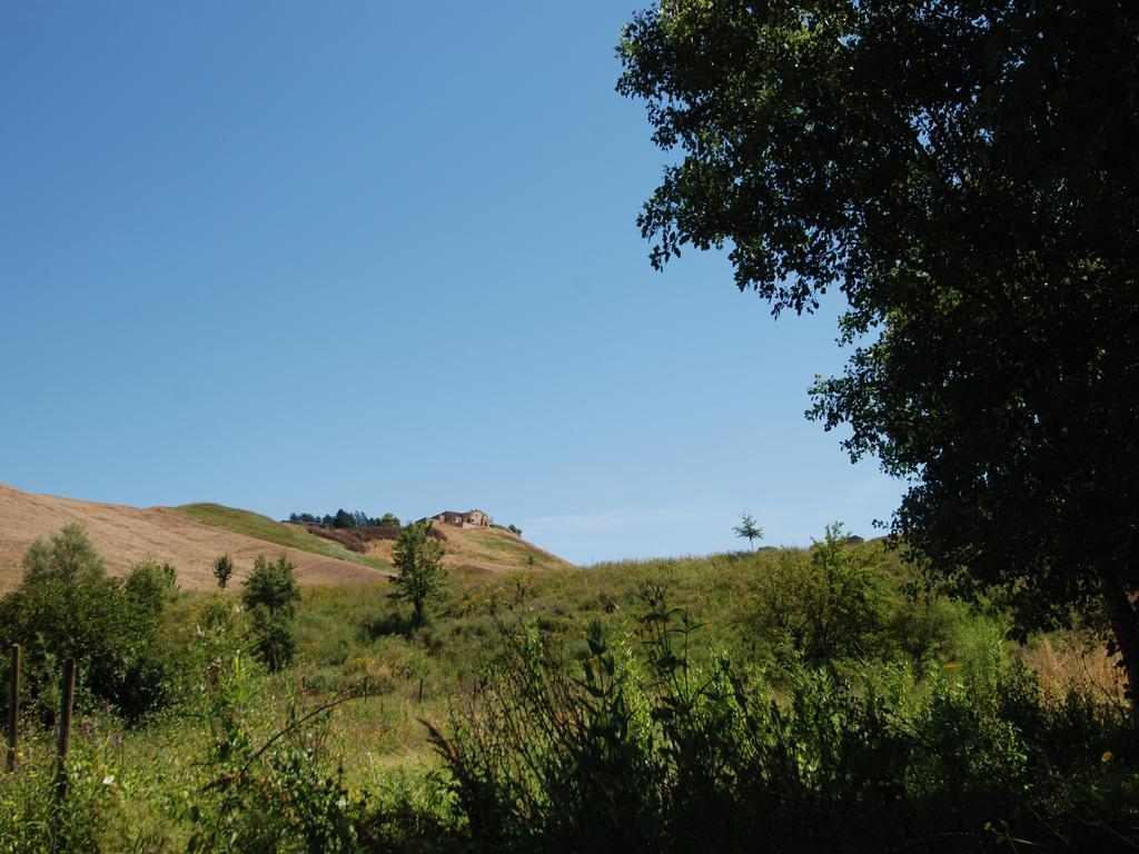 Hotel Podere Stabbia Asciano Exterior foto